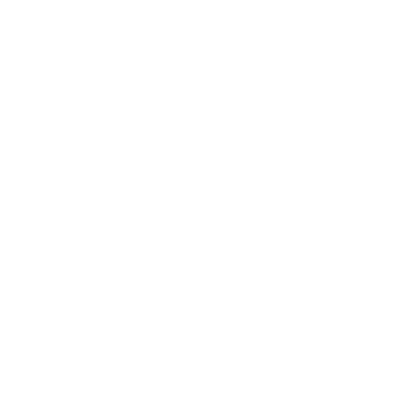 Logo firmy Go Yellow z Augustowa oferującej rejsy motorówkami po jeziorach augustowskich